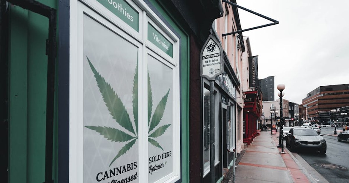 Revelry NY — Buyers' Club & Cannabis Festival